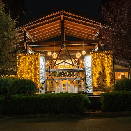 Hotel Maxi Park &