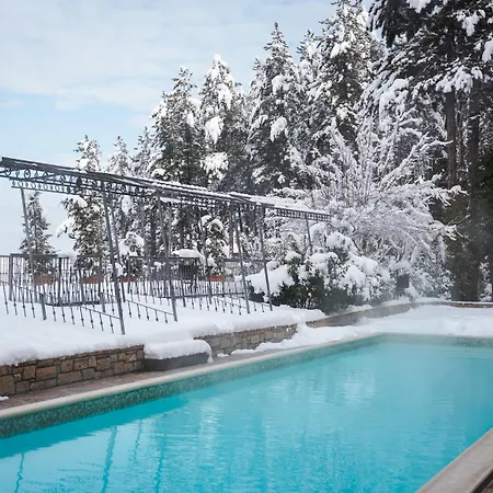 Maxi Park Hotel&spa Velingrad