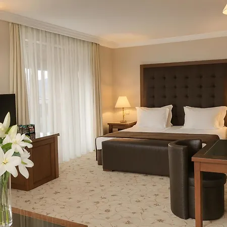 Hotel Maxi Park &