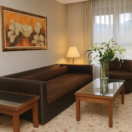 Hotel Maxi Park &