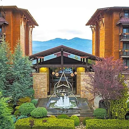 Maxi Park & 5* Velingrad