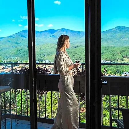Hotel Maxi Park & Velingrad