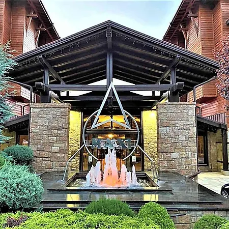Maxi Park & Hotel