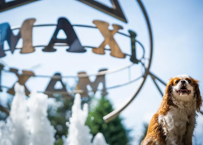 Maxi Park & Hotel 5*