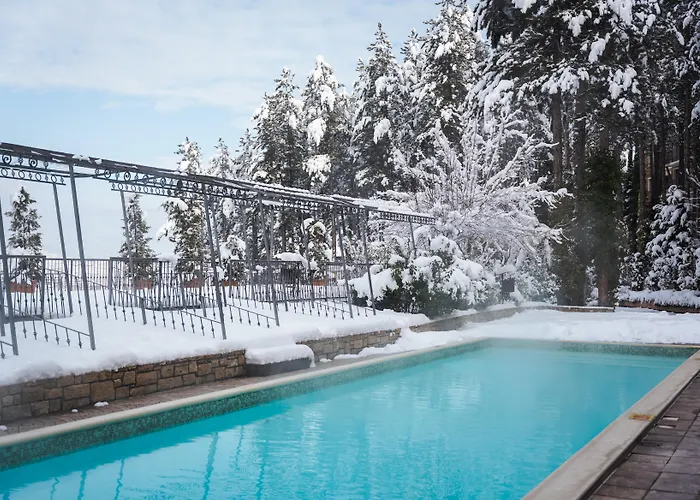 Maxi Park & Velingrad