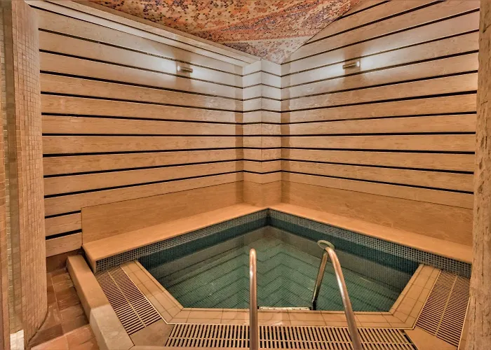 Maxi Park & 5* Velingrad