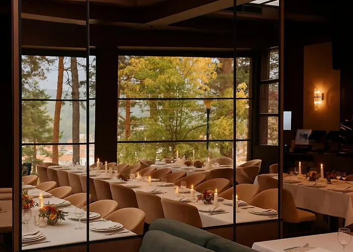 Maxi Park & فيلينغراد